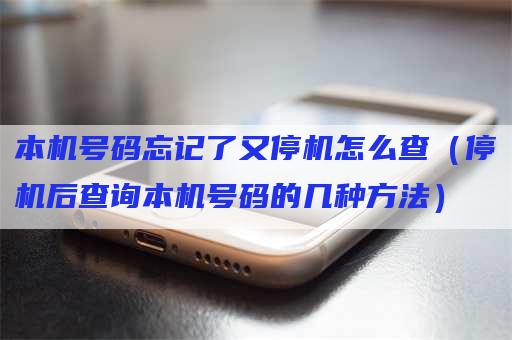 本机号码忘记了又停机怎么查（停机后查询本机号码的几种方法）